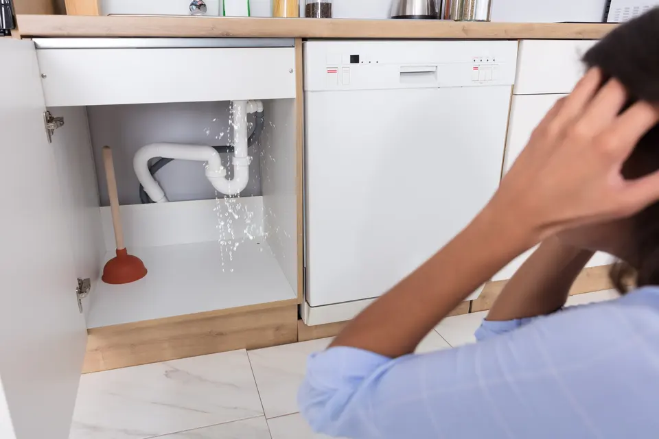 Water Extraction service in Austin, TX
